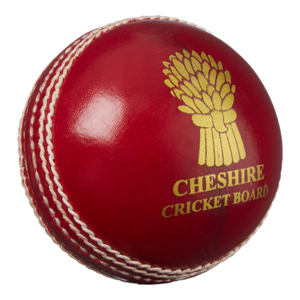 custom-match-cricket-balls-14-week-delivery-ram-cricket