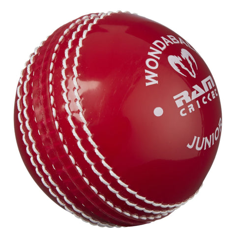 Cricket Players Bundle - Club – Ram Cricket
